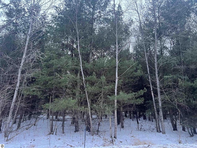 V/L Radov Rd, Gladwin, MI 48624
