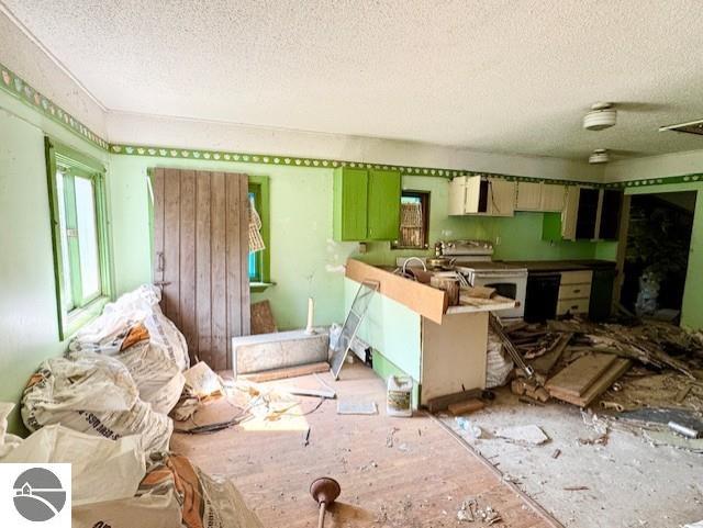 4629 Filter Rd, Harrison, MI 48625 - kitchen with a textured ceiling