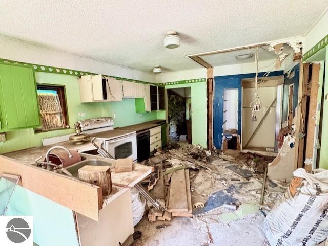 4629 Filter Rd, Harrison, MI 48625 - kitchen with white electric range oven and a textured ceiling