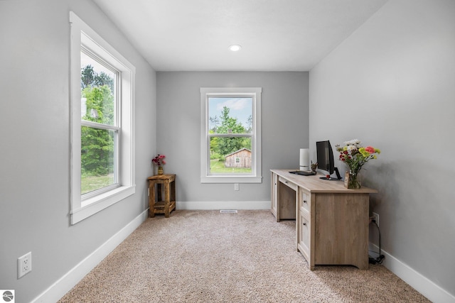 6330 Lund Rd SW, Fife Lake, MI 49633 - home office with healthy amount of natural light and light colored carpet