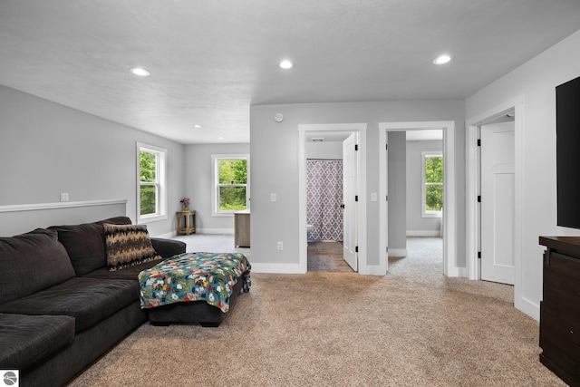6330 Lund Rd SW, Fife Lake, MI 49633 - living area with carpet and recessed lighting