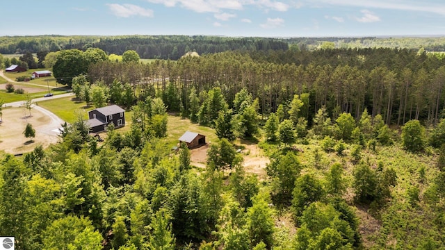 6330 Lund Rd SW, Fife Lake, MI 49633 - bird's eye view of a forest