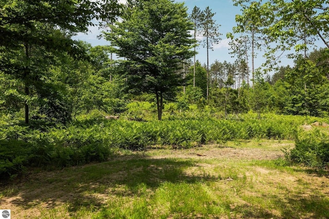 6330 Lund Rd SW, Fife Lake, MI 49633 - view of local wilderness