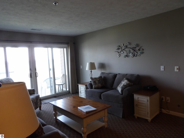 1246 Sunnyside Dr Unit 203, 4 & 8, Cadillac, MI 49601 - carpeted living room with a textured ceiling and french doors