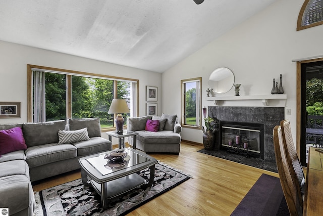 3810 Ridgeway Pl, Traverse City, MI 49684 - living room featuring a premium fireplace, wood finished floors, and high vaulted ceiling