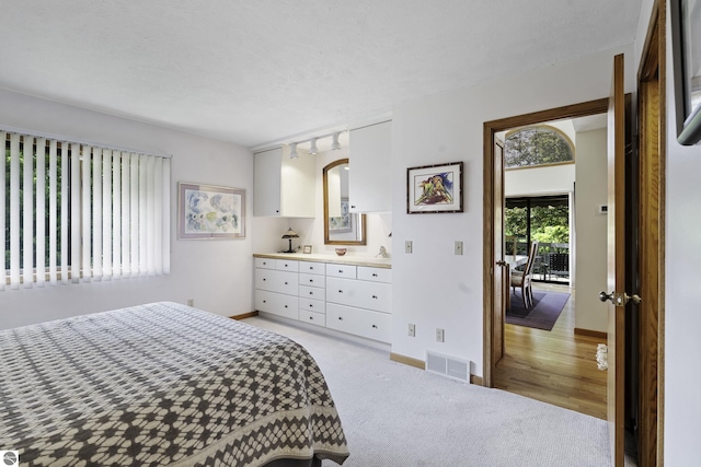 3810 Ridgeway Pl, Traverse City, MI 49684 - bedroom with light carpet and a textured ceiling