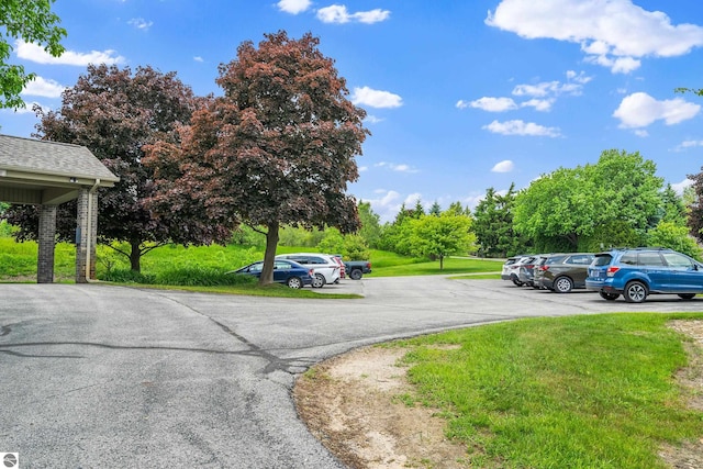 3810 Ridgeway Pl, Traverse City, MI 49684 - view of street