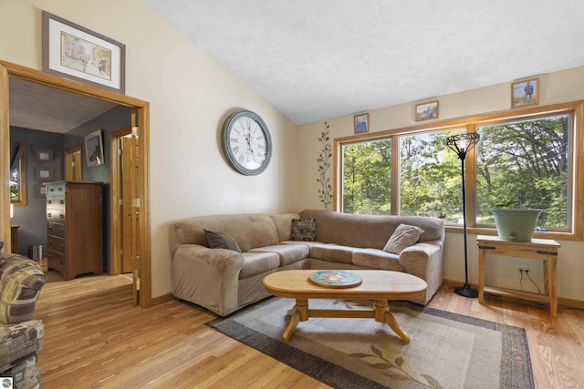 3048 Frankfort Hwy, Frankfort, MI 49635 - living room with a textured ceiling, light wood-type flooring, and lofted ceiling
