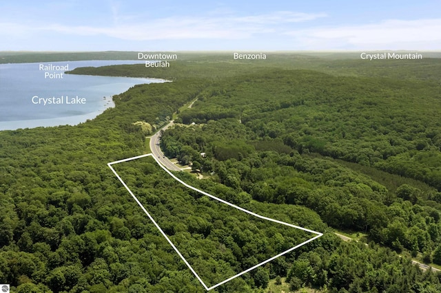 3048 Frankfort Hwy, Frankfort, MI 49635 - aerial overview of property's location featuring a heavily wooded area and property boundaries highlighted