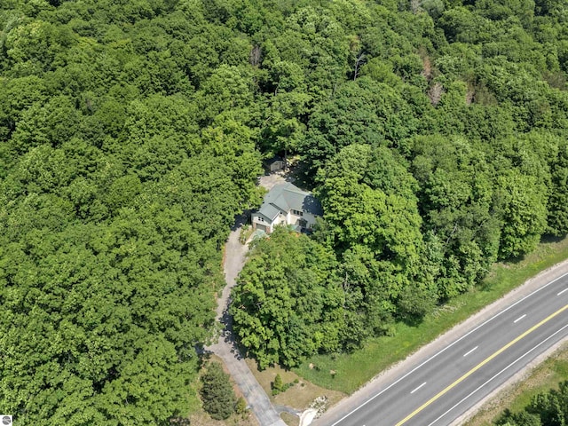 3048 Frankfort Hwy, Frankfort, MI 49635 - aerial overview of property's location with a heavily wooded area