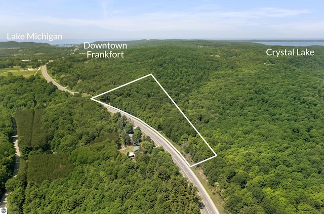 3048 Frankfort Hwy, Frankfort, MI 49635 - aerial overview of property's location featuring a heavily wooded area and property parcel outlined