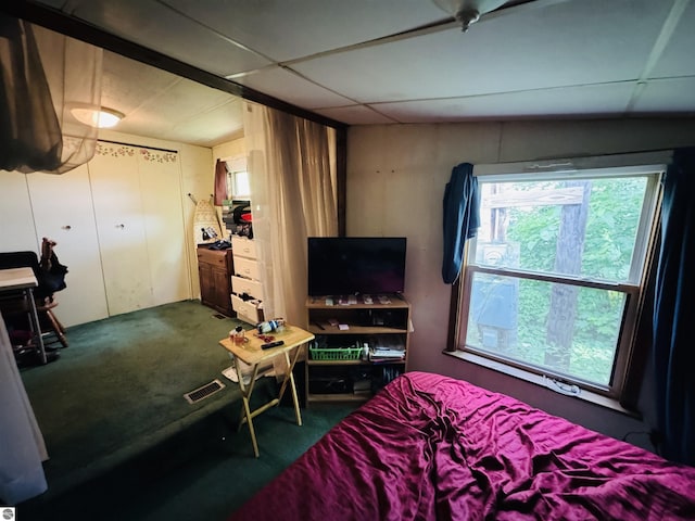 126 Chippewa Trl, Buckley, MI 49620 - bedroom with carpet flooring
