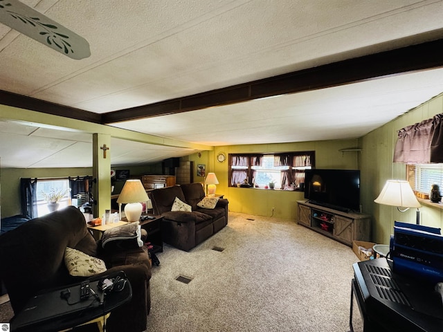 126 Chippewa Trl, Buckley, MI 49620 - living room with carpet flooring, beam ceiling, and wooden walls