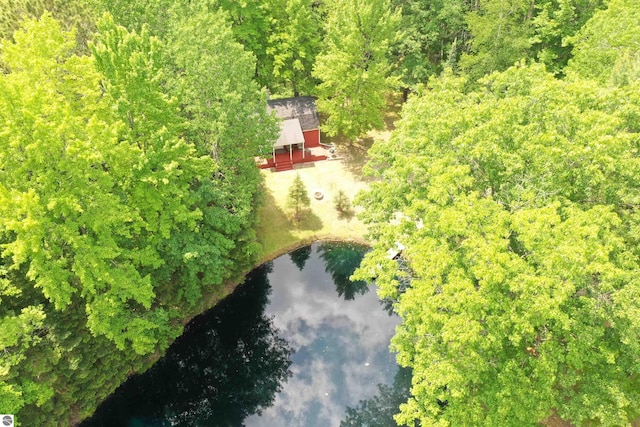 5218 E Laird Lake Rd, Hale, MI 48739 - view of subject property with a nearby body of water and a heavily wooded area
