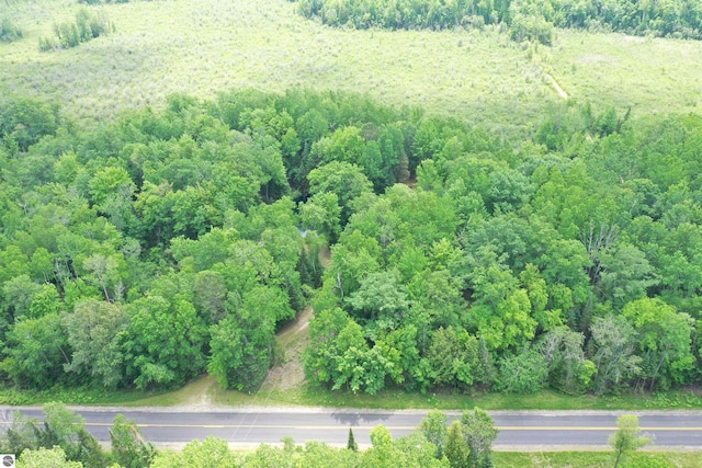 5218 E Laird Lake Rd, Hale, MI 48739 - bird's eye view of a heavily wooded area