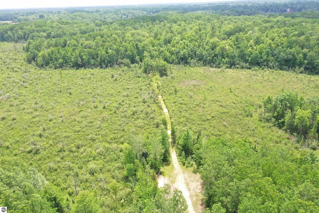 5218 E Laird Lake Rd, Hale, MI 48739 - bird's eye view of a heavily wooded area