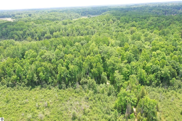 5218 E Laird Lake Rd, Hale, MI 48739 - bird's eye view of a forest