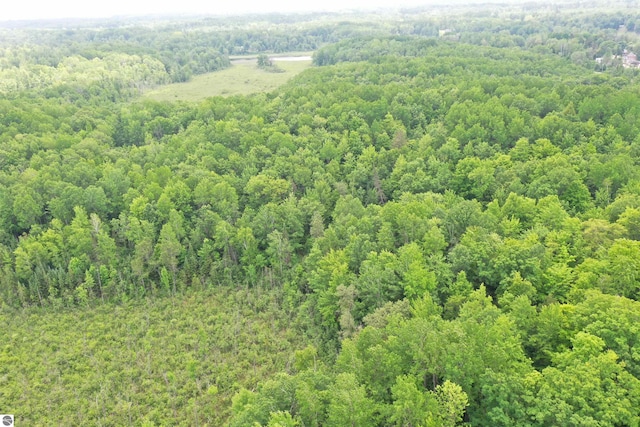 5218 E Laird Lake Rd, Hale, MI 48739 - drone / aerial view of a forest