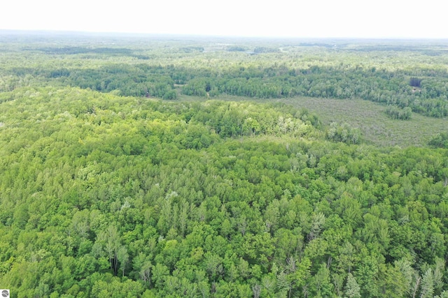 5218 E Laird Lake Rd, Hale, MI 48739 - aerial view of a forest