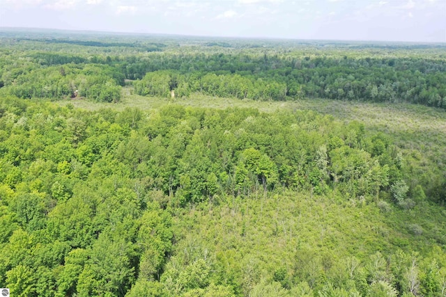 5218 E Laird Lake Rd, Hale, MI 48739 - drone / aerial view of a heavily wooded area