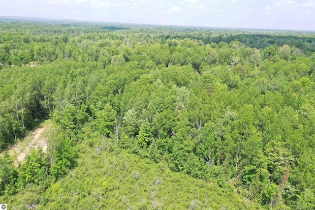 5218 E Laird Lake Rd, Hale, MI 48739 - aerial view of a heavily wooded area