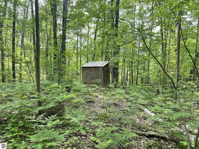 5218 E Laird Lake Rd, Hale, MI 48739 - view of woods