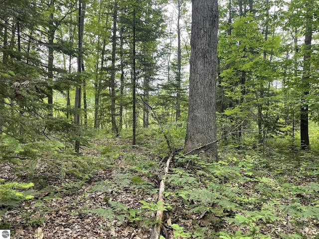5218 E Laird Lake Rd, Hale, MI 48739 - view of tree filled area