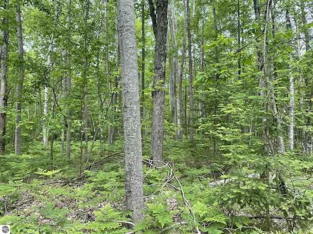 5218 E Laird Lake Rd, Hale, MI 48739 - view of woods