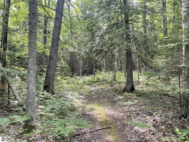 5218 E Laird Lake Rd, Hale, MI 48739 - view of wooded area