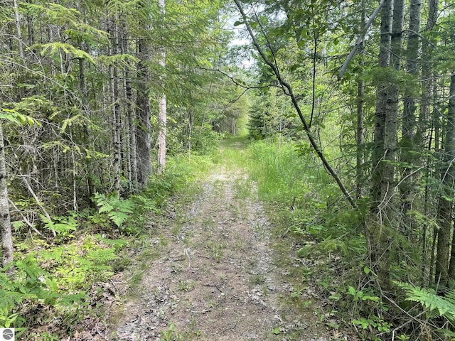 5218 E Laird Lake Rd, Hale, MI 48739 - view of tree filled area