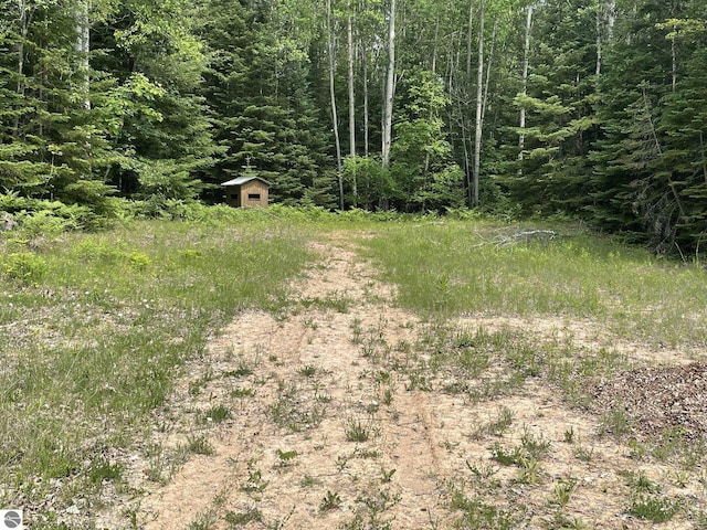 5218 E Laird Lake Rd, Hale, MI 48739 - view of yard with a storage shed and a wooded view