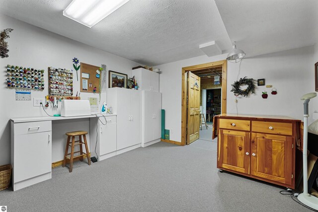 6387 W Maple St, Lake City, MI 49651 - office area featuring light carpet and a textured ceiling