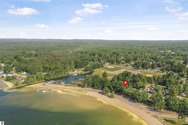 6387 W Maple St, Lake City, MI 49651 - aerial view of a forest and a large body of water