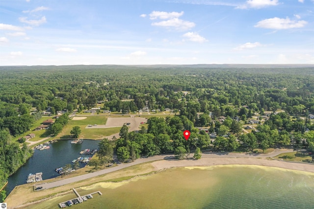 6387 W Maple St, Lake City, MI 49651 - drone / aerial view of a forest and a large body of water