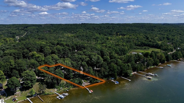 7600 Maple St, Grawn, MI 49637 - drone / aerial view of a heavily wooded area and a nearby body of water