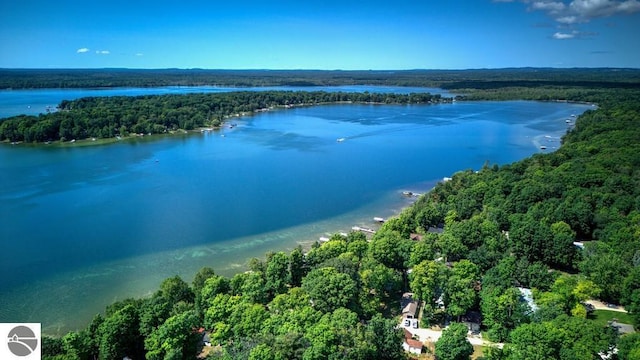 7600 Maple St, Grawn, MI 49637 - bird's eye view of a forest and a large body of water