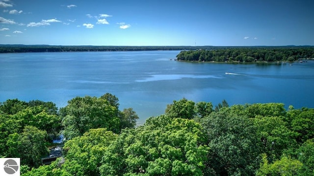 7600 Maple St, Grawn, MI 49637 - water view with a forest