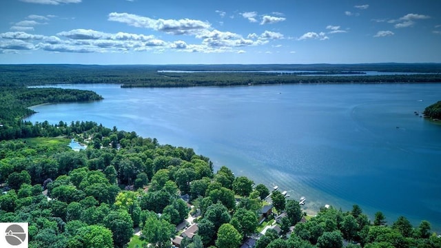 7600 Maple St, Grawn, MI 49637 - aerial view of a nearby body of water and a forest
