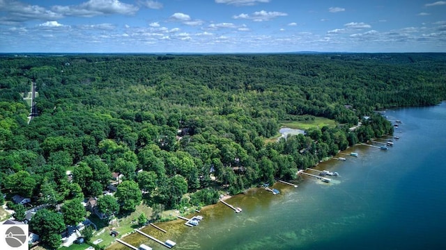7600 Maple St, Grawn, MI 49637 - aerial view of property's location featuring a forest and a nearby body of water