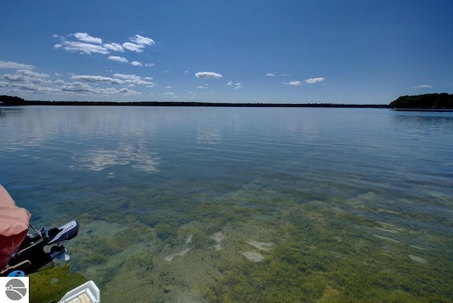 7600 Maple St, Grawn, MI 49637 - water view