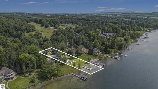 8781 Clam Lake Rd, Bellaire, MI 49615 - aerial overview of property's location featuring a nearby body of water and property boundaries highlighted
