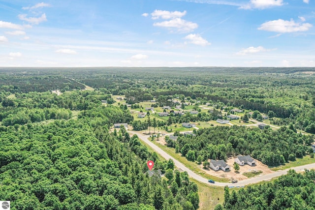 6483 Jeffrey Pl, Grawn, MI 49637 - drone / aerial view of a heavily wooded area