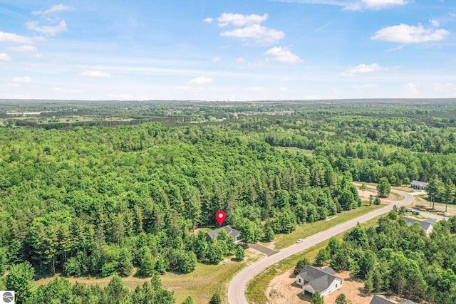 6483 Jeffrey Pl, Grawn, MI 49637 - aerial view of a forest