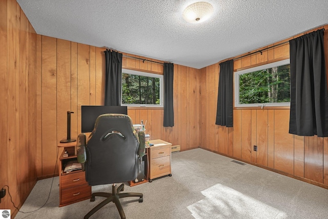 10085 Harmony Dr, Interlochen, MI 49643 - carpeted office with a textured ceiling, wood walls, and a baseboard radiator
