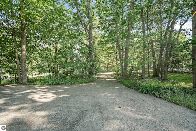 10085 Harmony Dr, Interlochen, MI 49643 - view of road