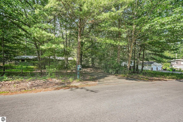 10085 Harmony Dr, Interlochen, MI 49643 - view of road