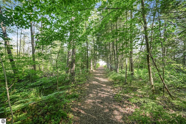 10085 Harmony Dr, Interlochen, MI 49643 - view of tree filled area