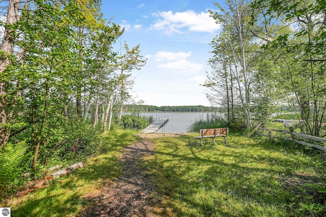 10085 Harmony Dr, Interlochen, MI 49643 - view of green lawn featuring a water view and a dock