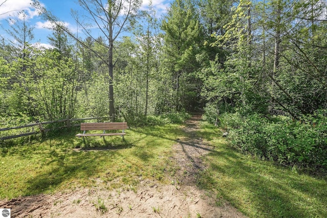 10085 Harmony Dr, Interlochen, MI 49643 - view of yard featuring a forest view