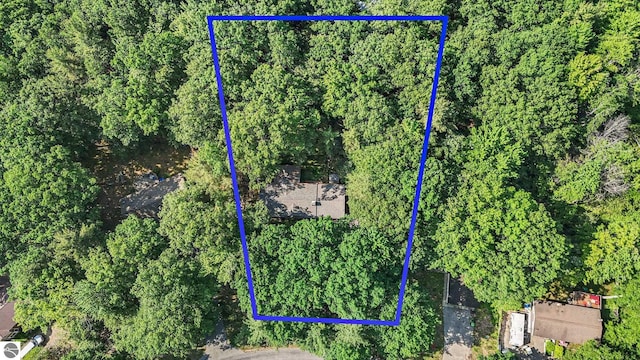 10085 Harmony Dr, Interlochen, MI 49643 - view of property location with property parcel outlined